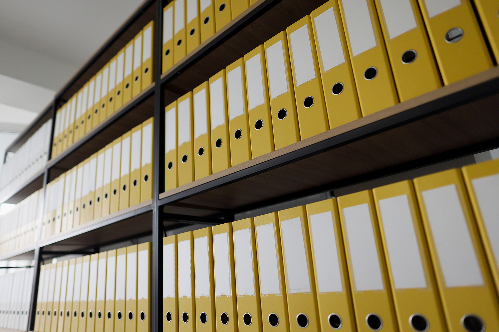 Shelves of yellow ring binders containing files and documents, depicting the evidence collected for the gambling white paper